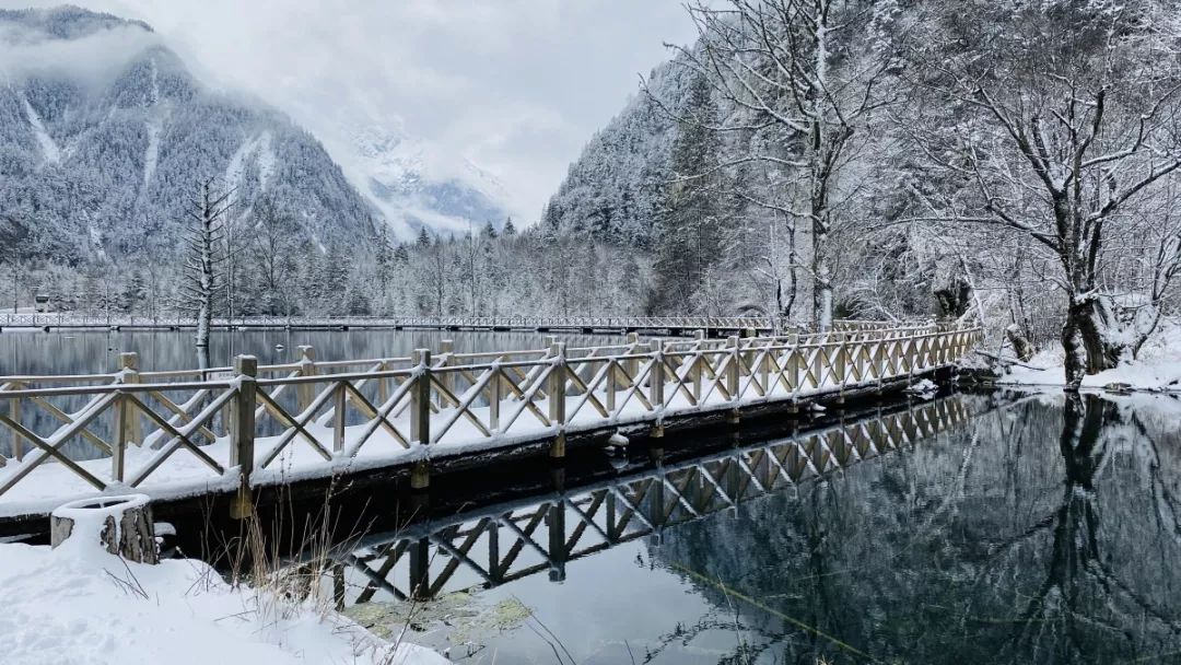 毕棚沟雪景